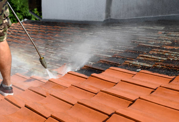 Best Pressure Washing Near Me  in Village Of Waukesha, WI
